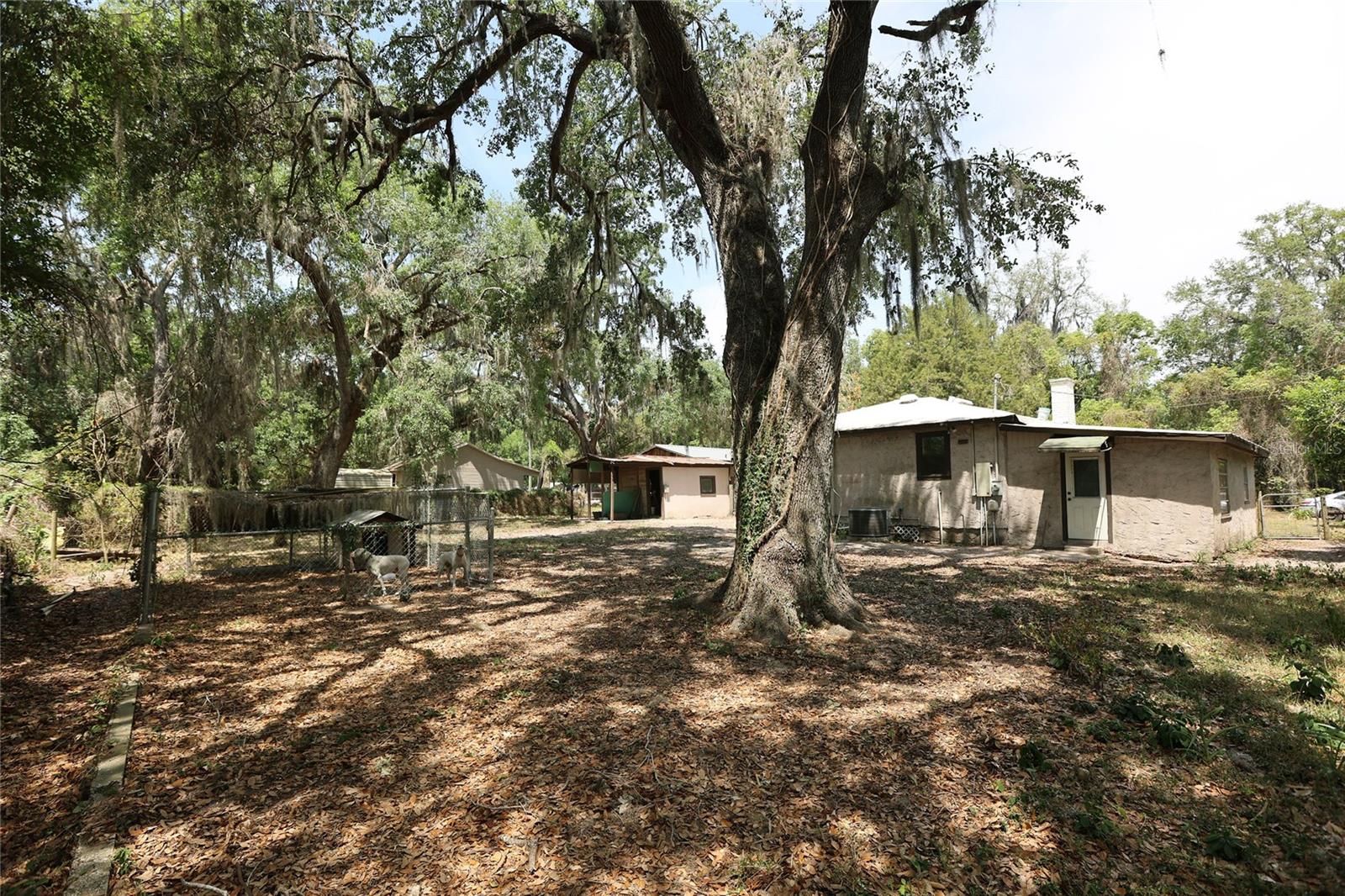 2619 BERDETTA ST, LEESBURG, FL, 34748