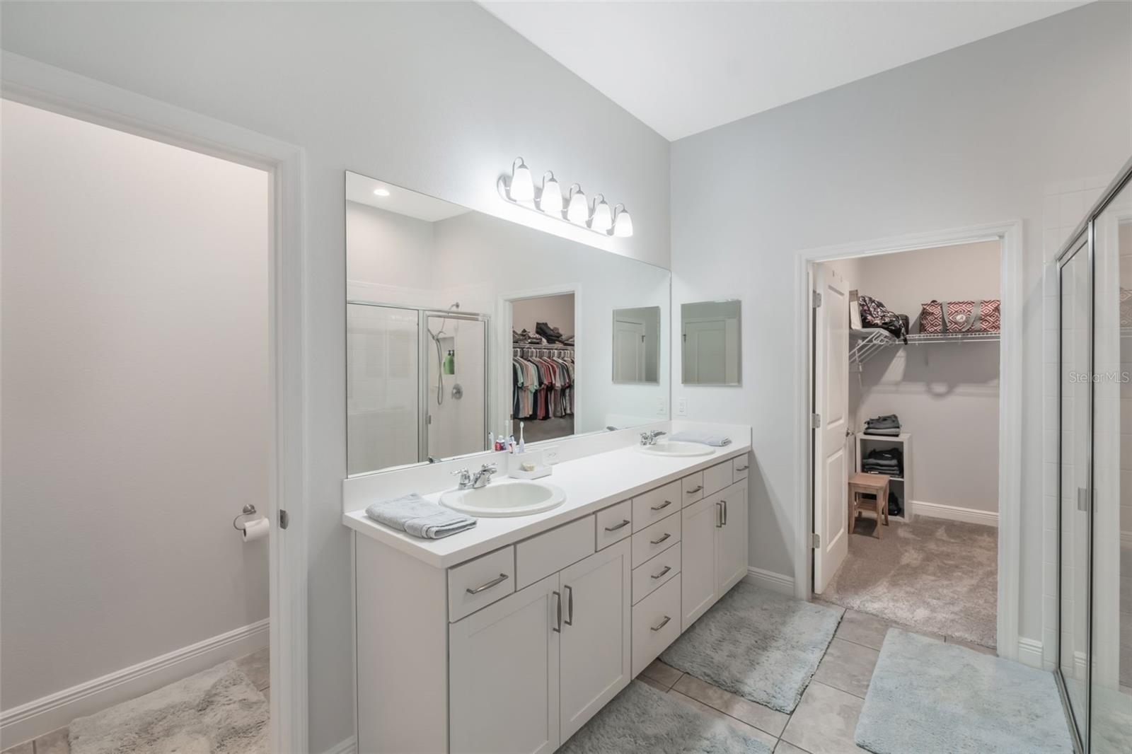 1030 ALDER TREE DR, APOPKA, FL, 32703