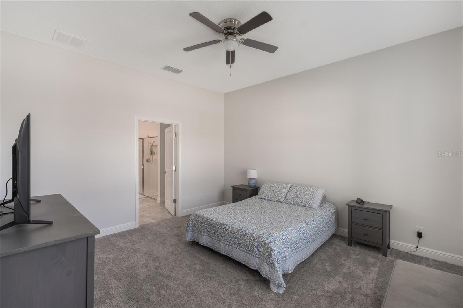 1030 ALDER TREE DR, APOPKA, FL, 32703