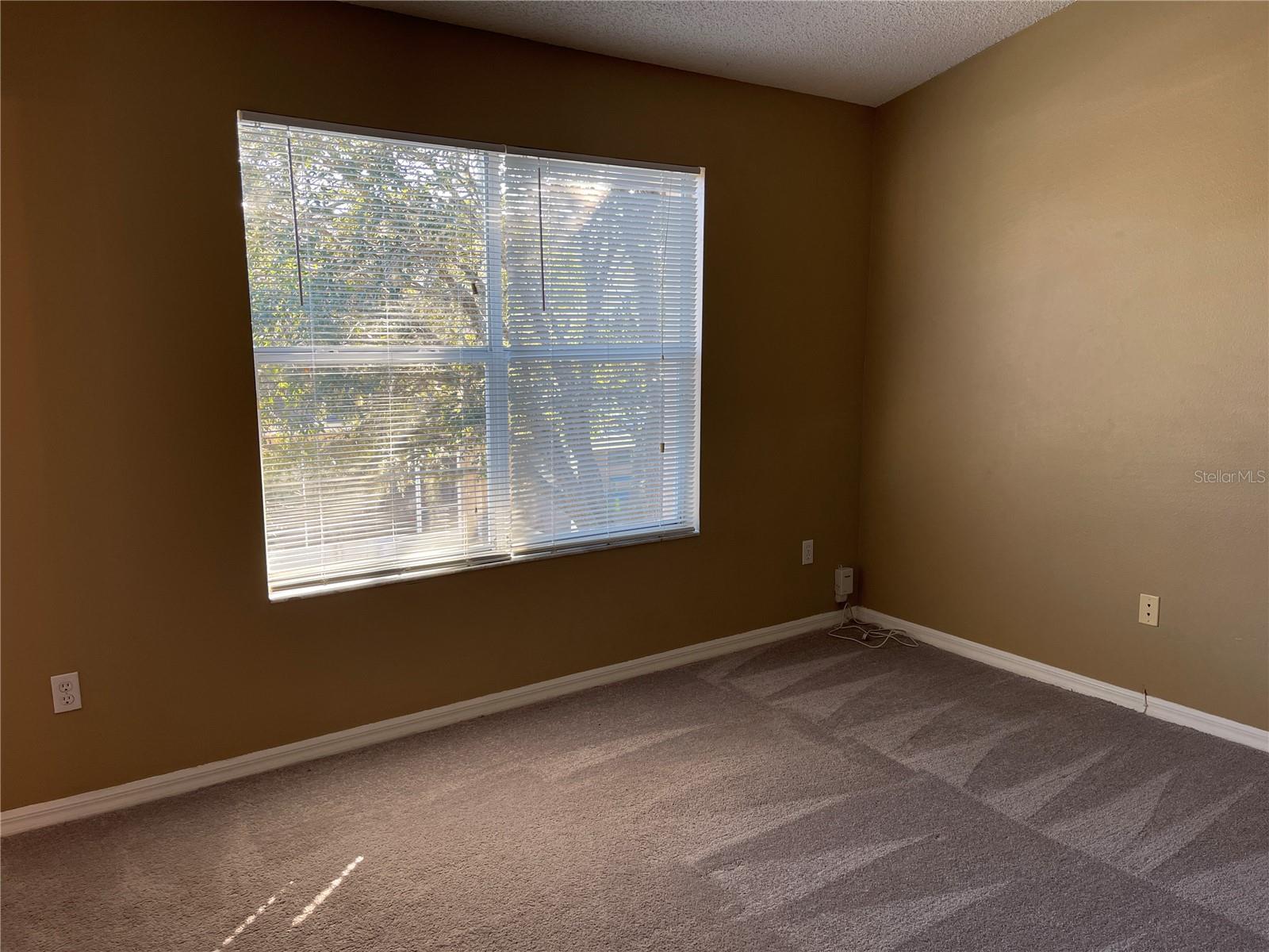 30120 BARNABY LN, WESLEY CHAPEL, FL, 33543