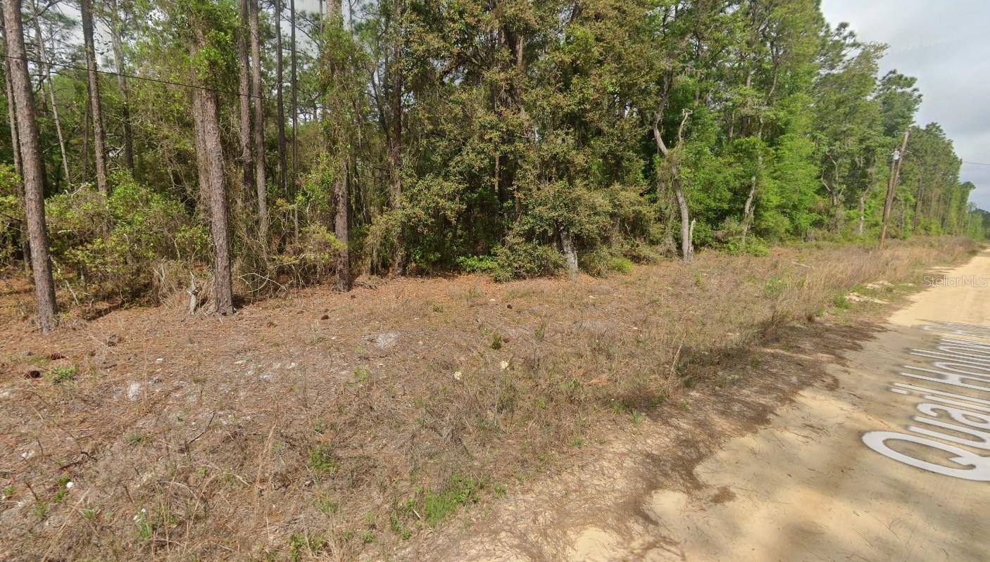 0000 QUAIL HOLLOW RD, SATSUMA, FL, 32189