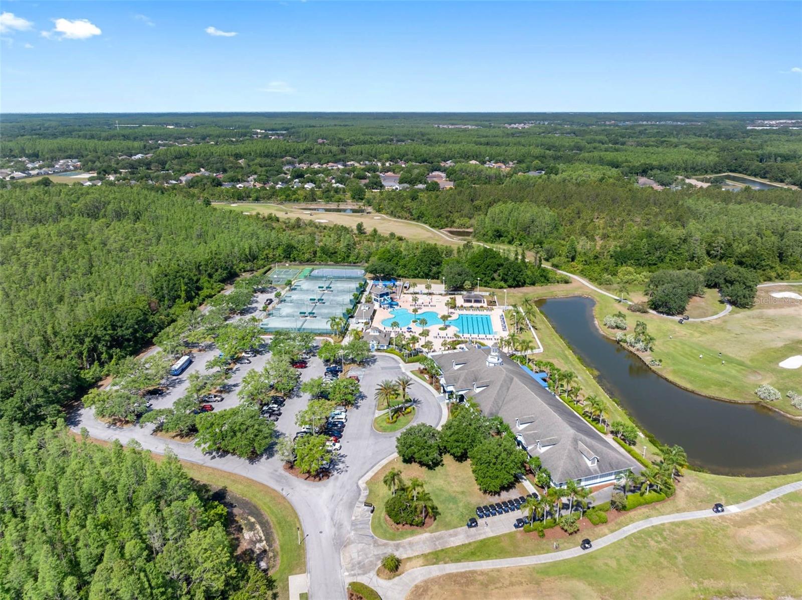 19112 CYPRESS GREEN DR, LUTZ, FL, 33558