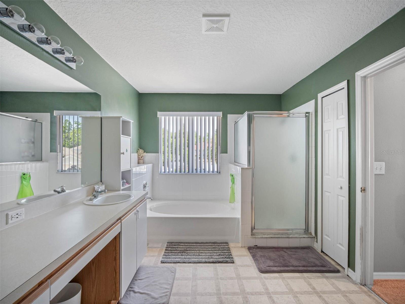 19112 CYPRESS GREEN DR, LUTZ, FL, 33558