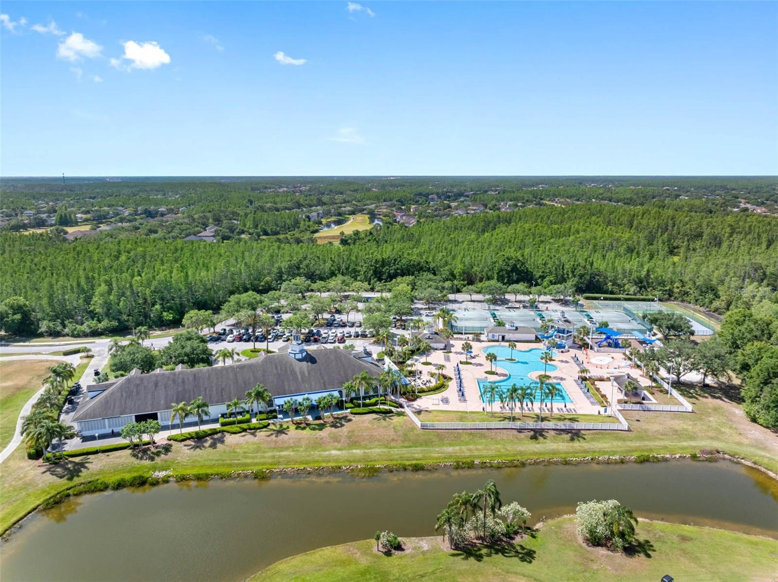 19112 CYPRESS GREEN DR, LUTZ, FL, 33558