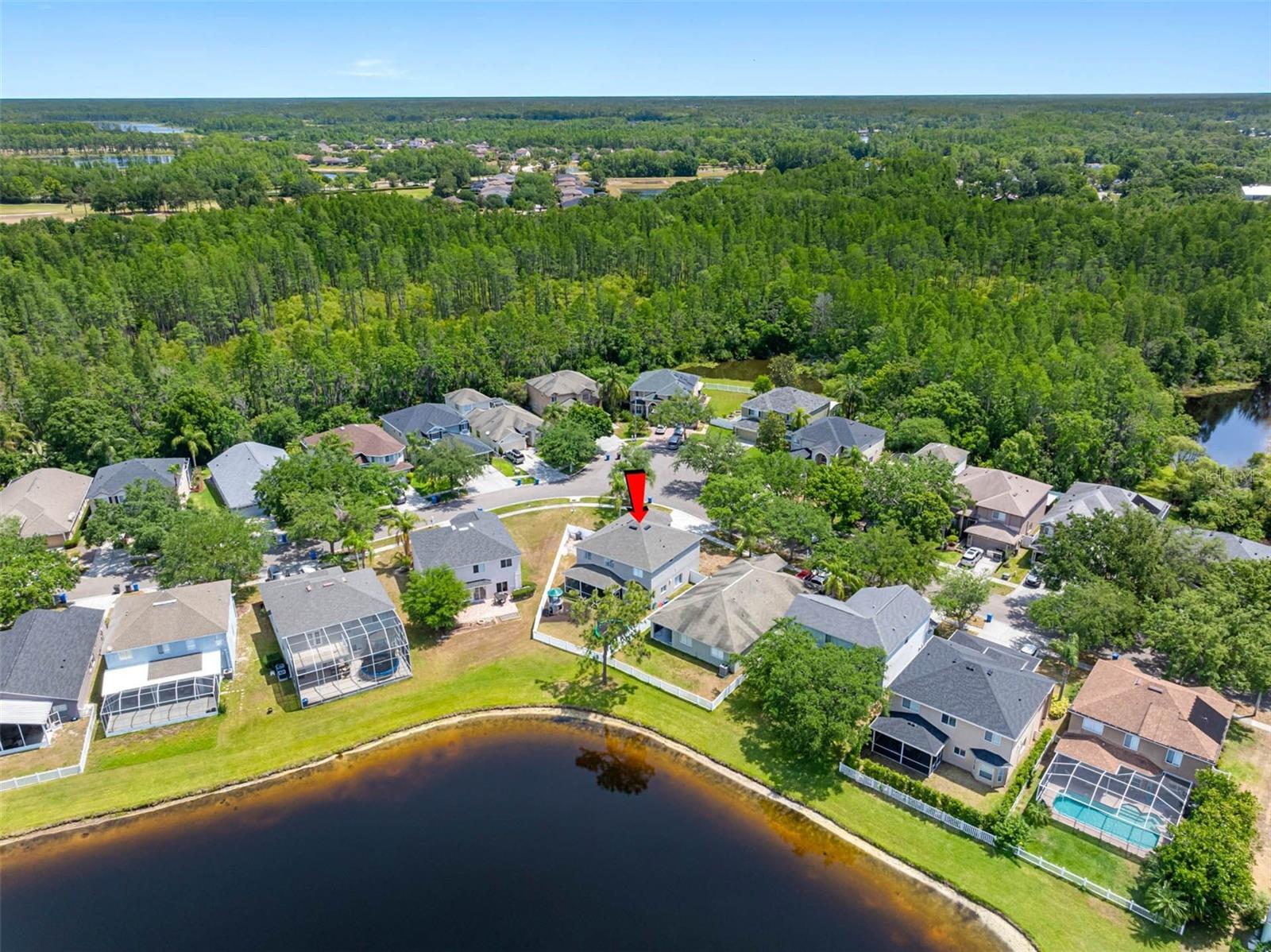 19112 CYPRESS GREEN DR, LUTZ, FL, 33558