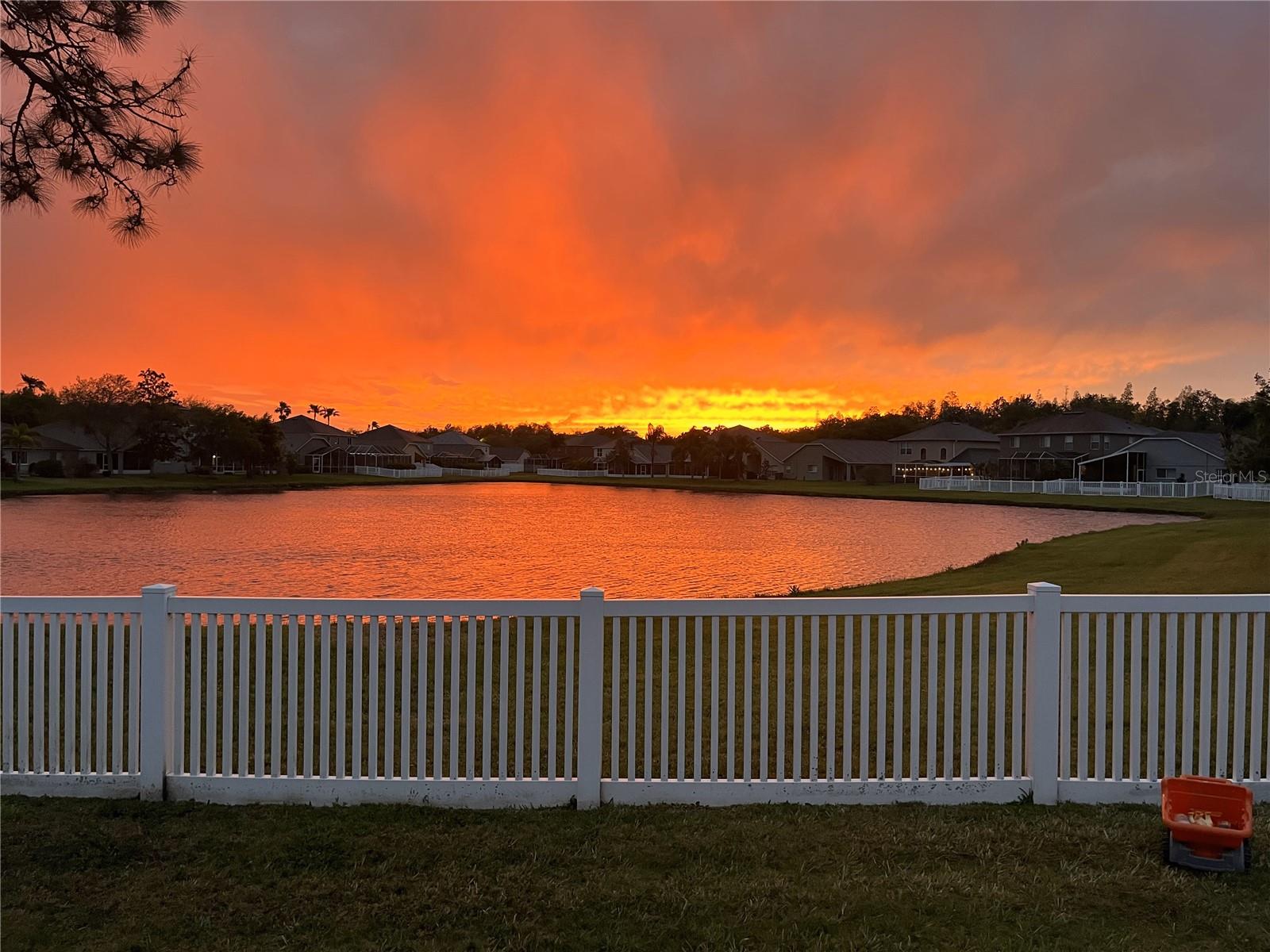 19112 CYPRESS GREEN DR, LUTZ, FL, 33558