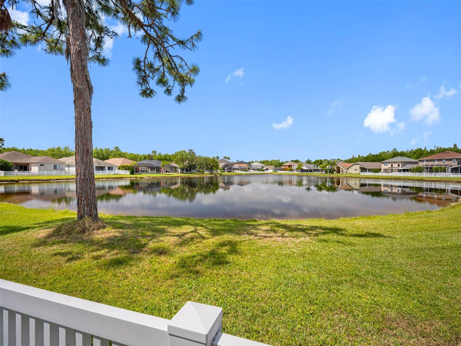 19112 CYPRESS GREEN DR, LUTZ, FL, 33558