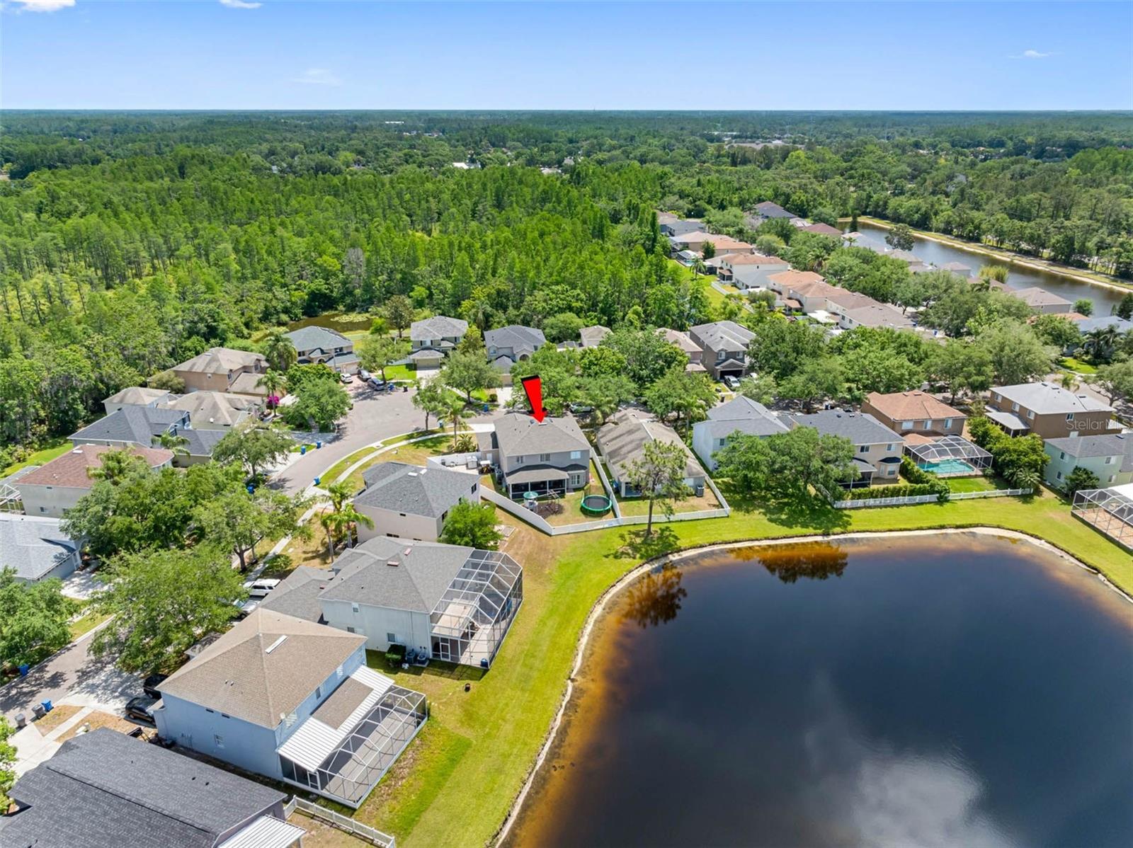 19112 CYPRESS GREEN DR, LUTZ, FL, 33558