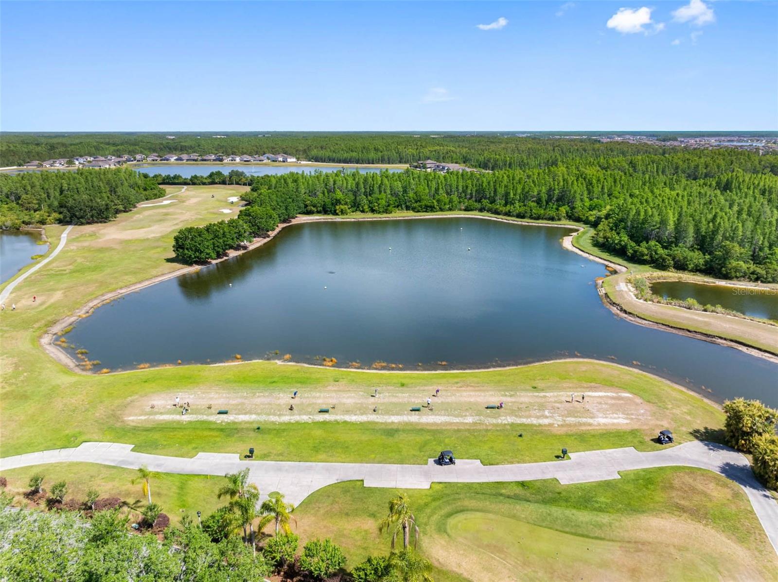 19112 CYPRESS GREEN DR, LUTZ, FL, 33558