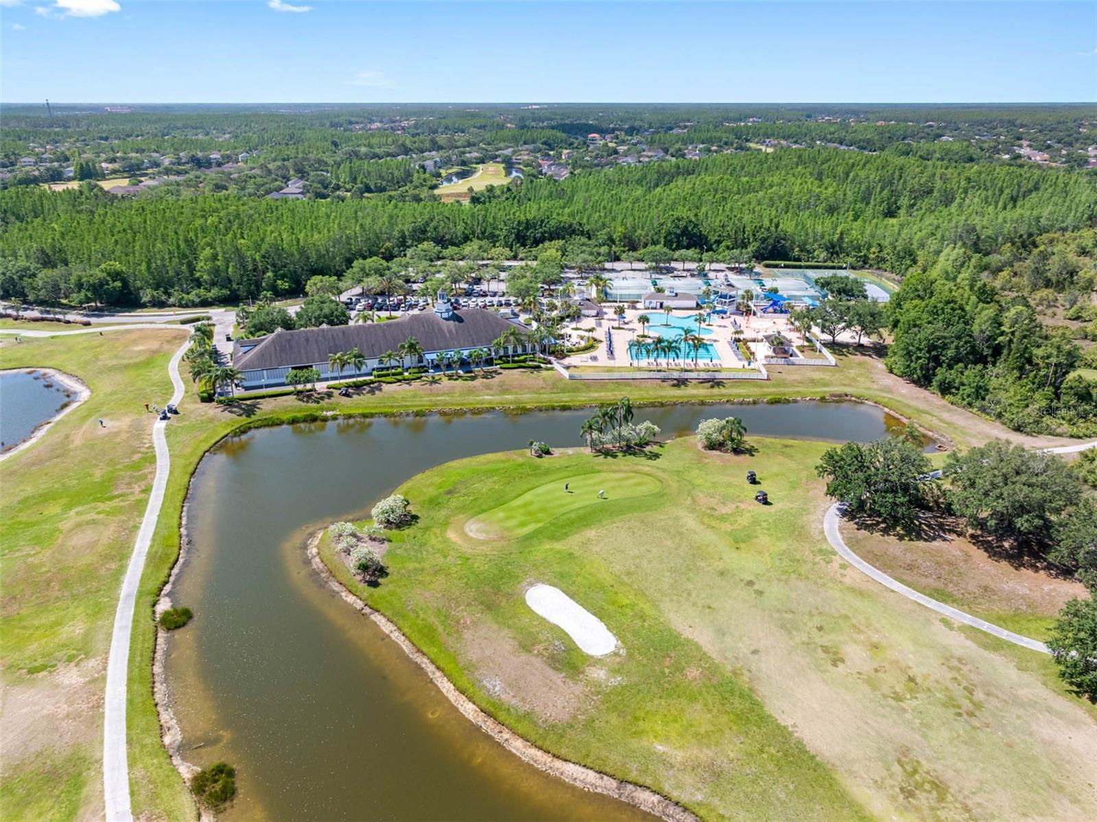 19112 CYPRESS GREEN DR, LUTZ, FL, 33558