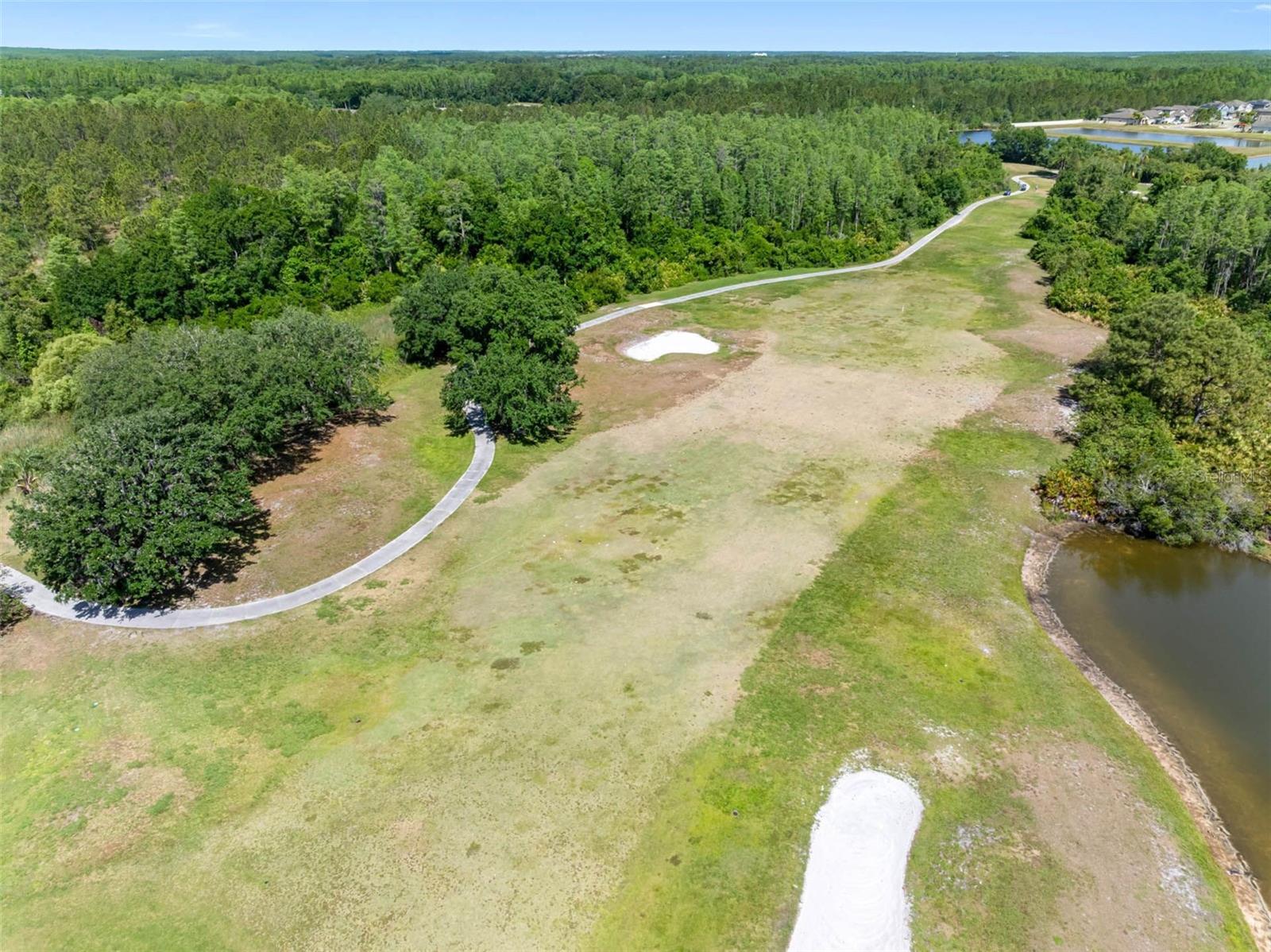 19112 CYPRESS GREEN DR, LUTZ, FL, 33558