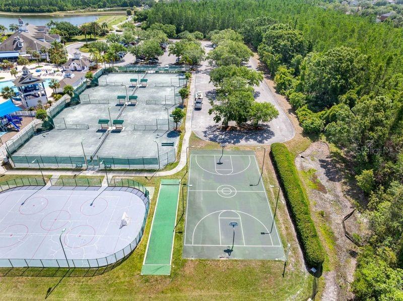 19112 CYPRESS GREEN DR, LUTZ, FL, 33558