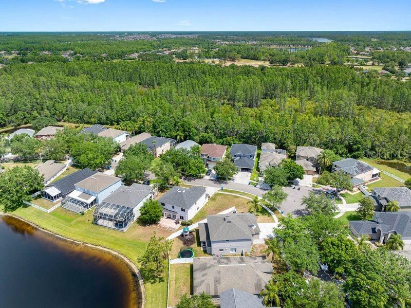 19112 CYPRESS GREEN DR, LUTZ, FL, 33558