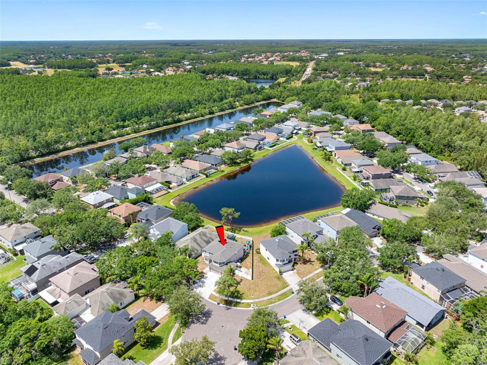 19112 CYPRESS GREEN DR, LUTZ, FL, 33558