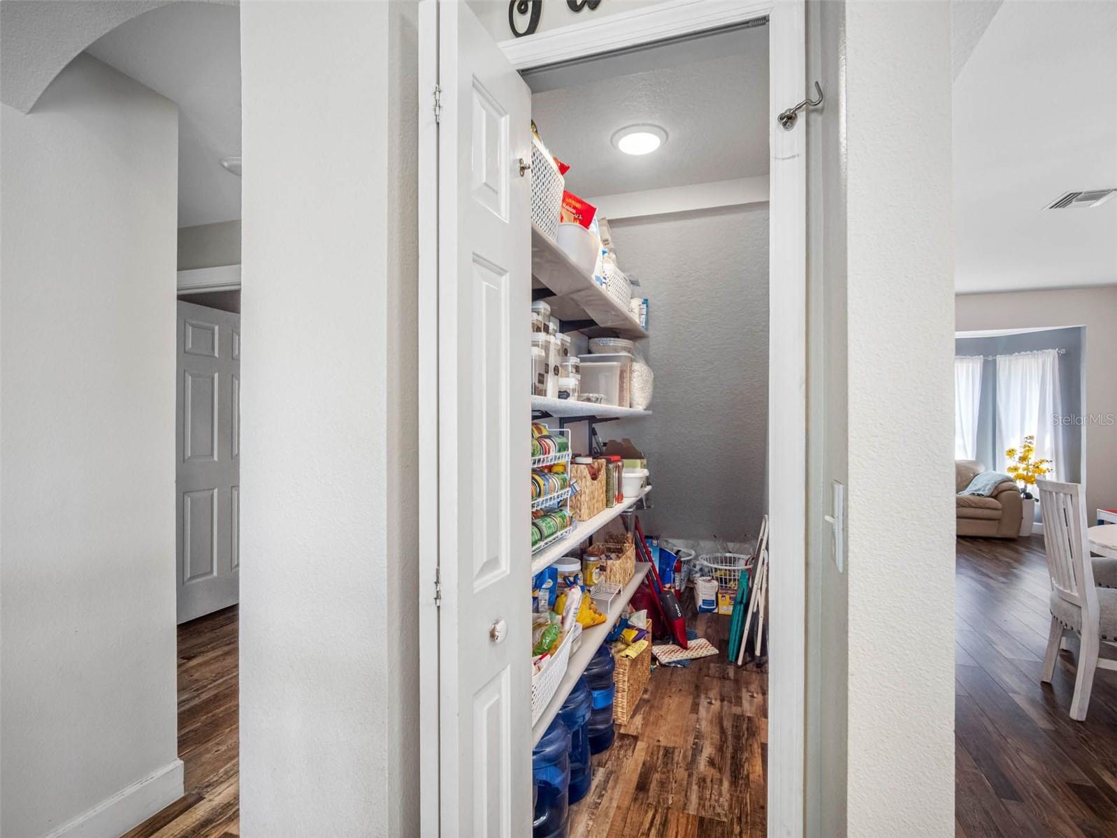 19112 CYPRESS GREEN DR, LUTZ, FL, 33558