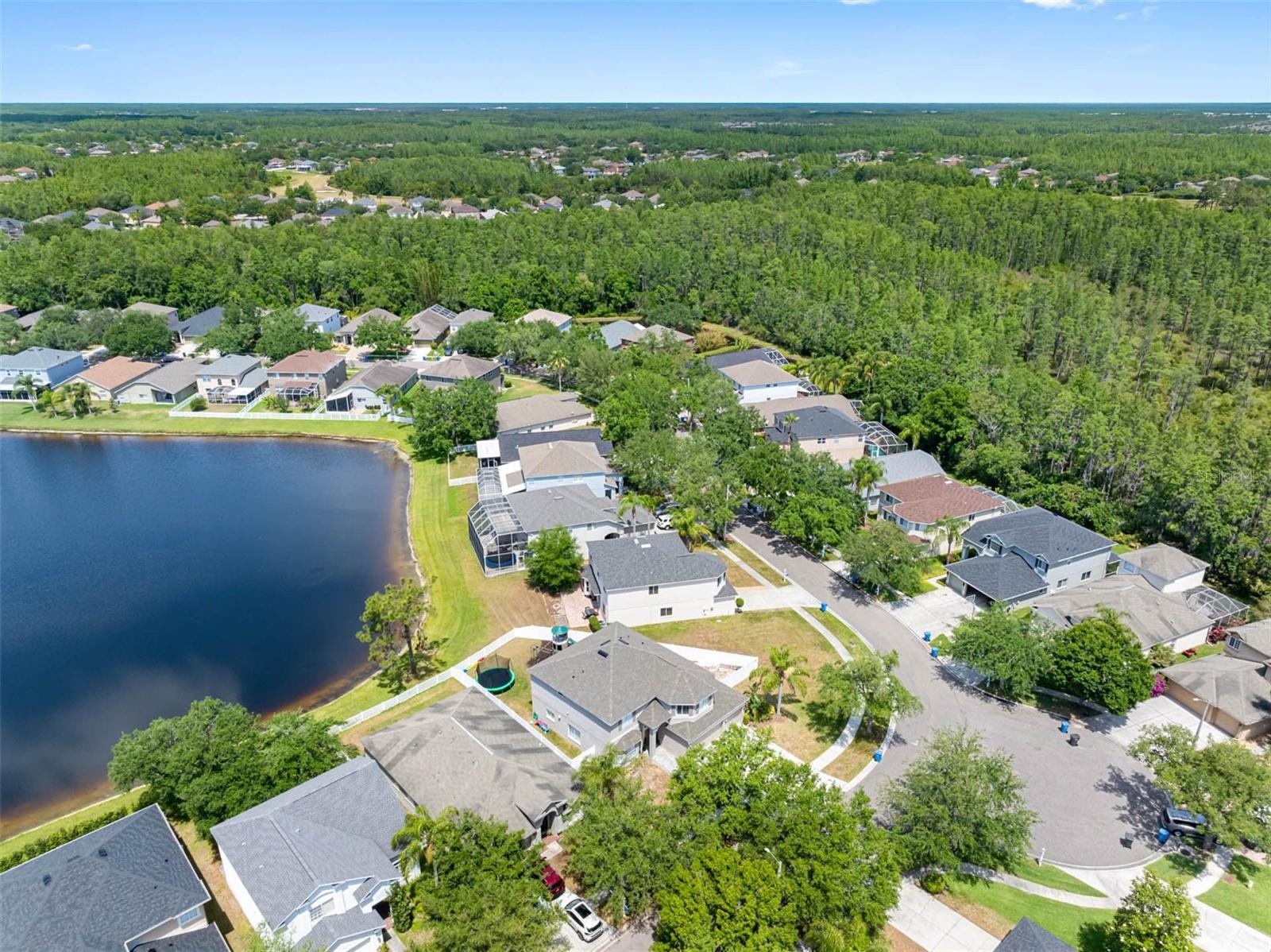 19112 CYPRESS GREEN DR, LUTZ, FL, 33558