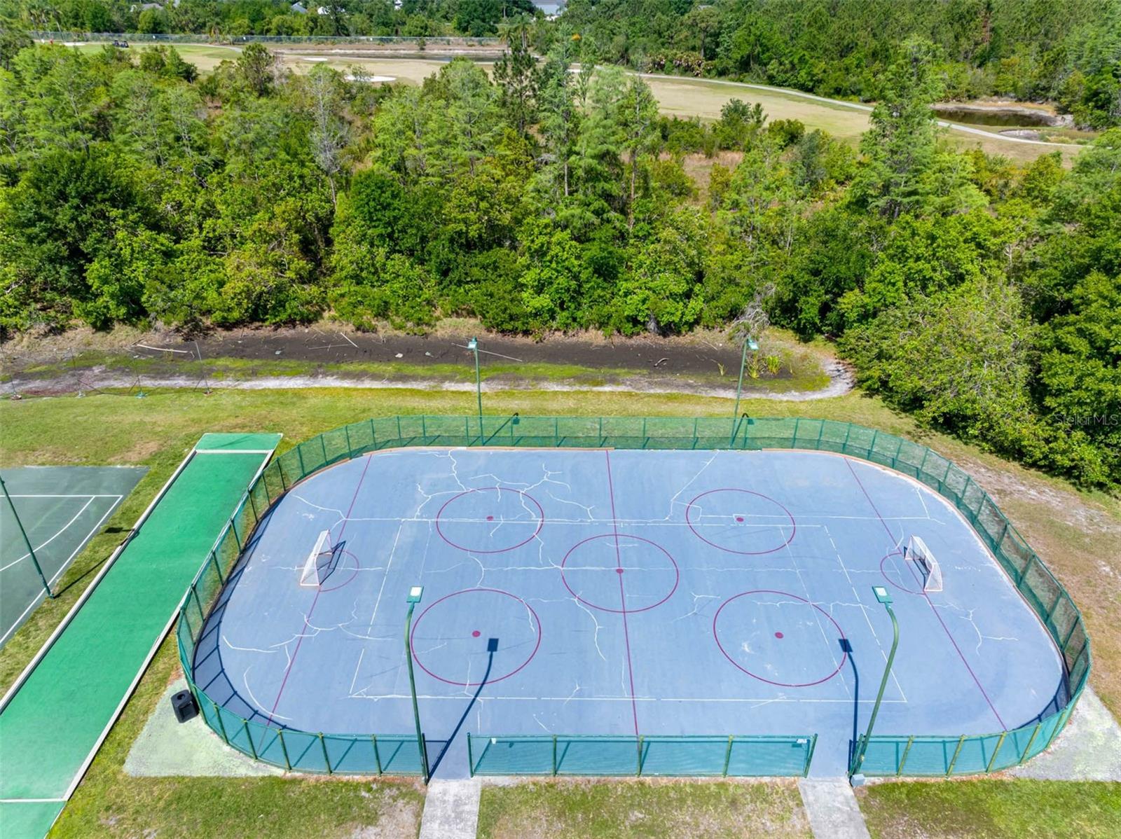 19112 CYPRESS GREEN DR, LUTZ, FL, 33558