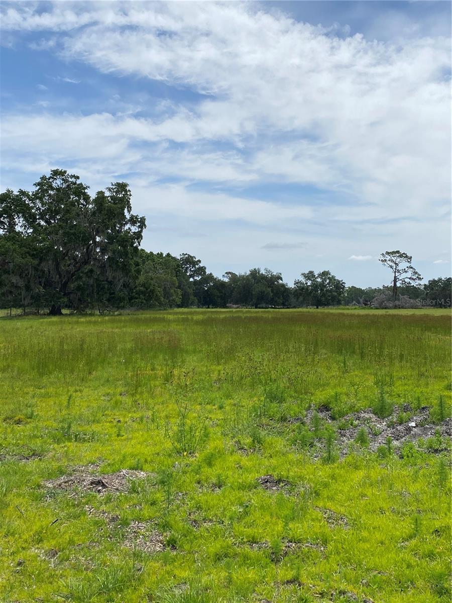 8639 C 469, CENTER HILL, FL, 33514