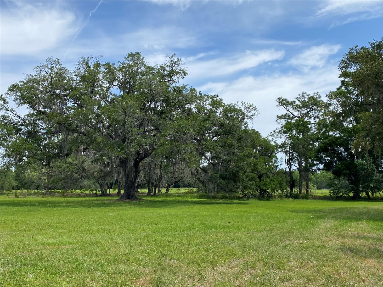 8639 C 469, CENTER HILL, FL, 33514