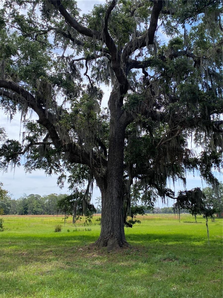 8639 C 469, CENTER HILL, FL, 33514