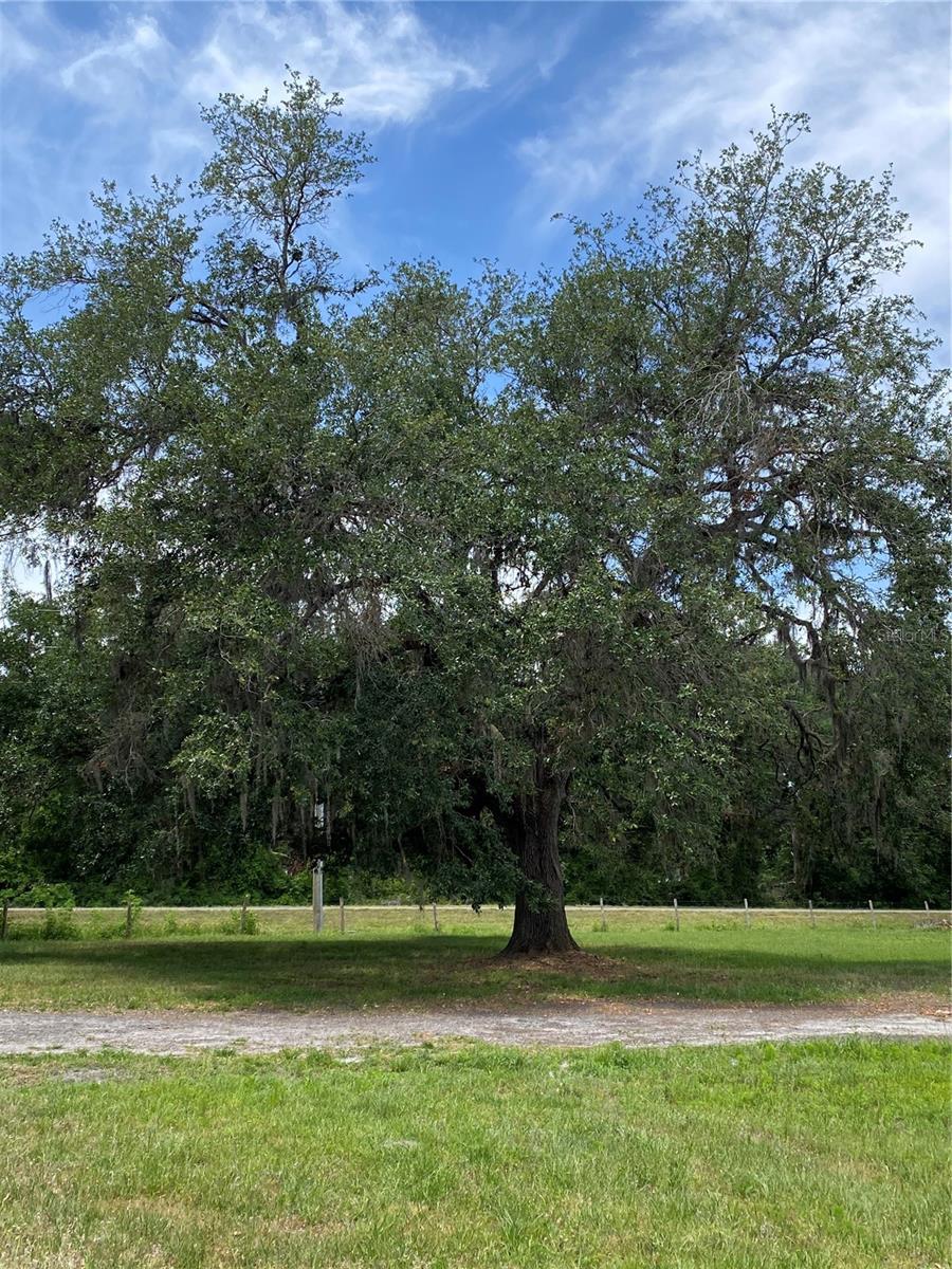 8639 C 469, CENTER HILL, FL, 33514