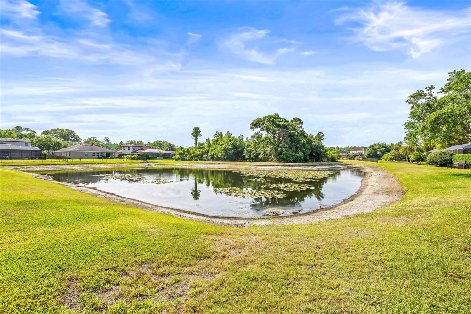 Pond & Conservation View