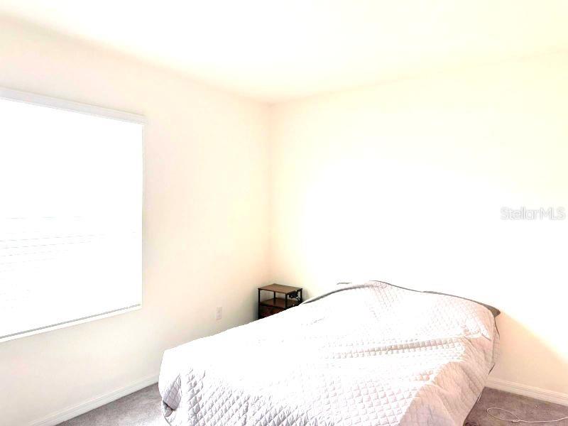 1490 COLT CREEK PL, WESLEY CHAPEL, FL, 33543