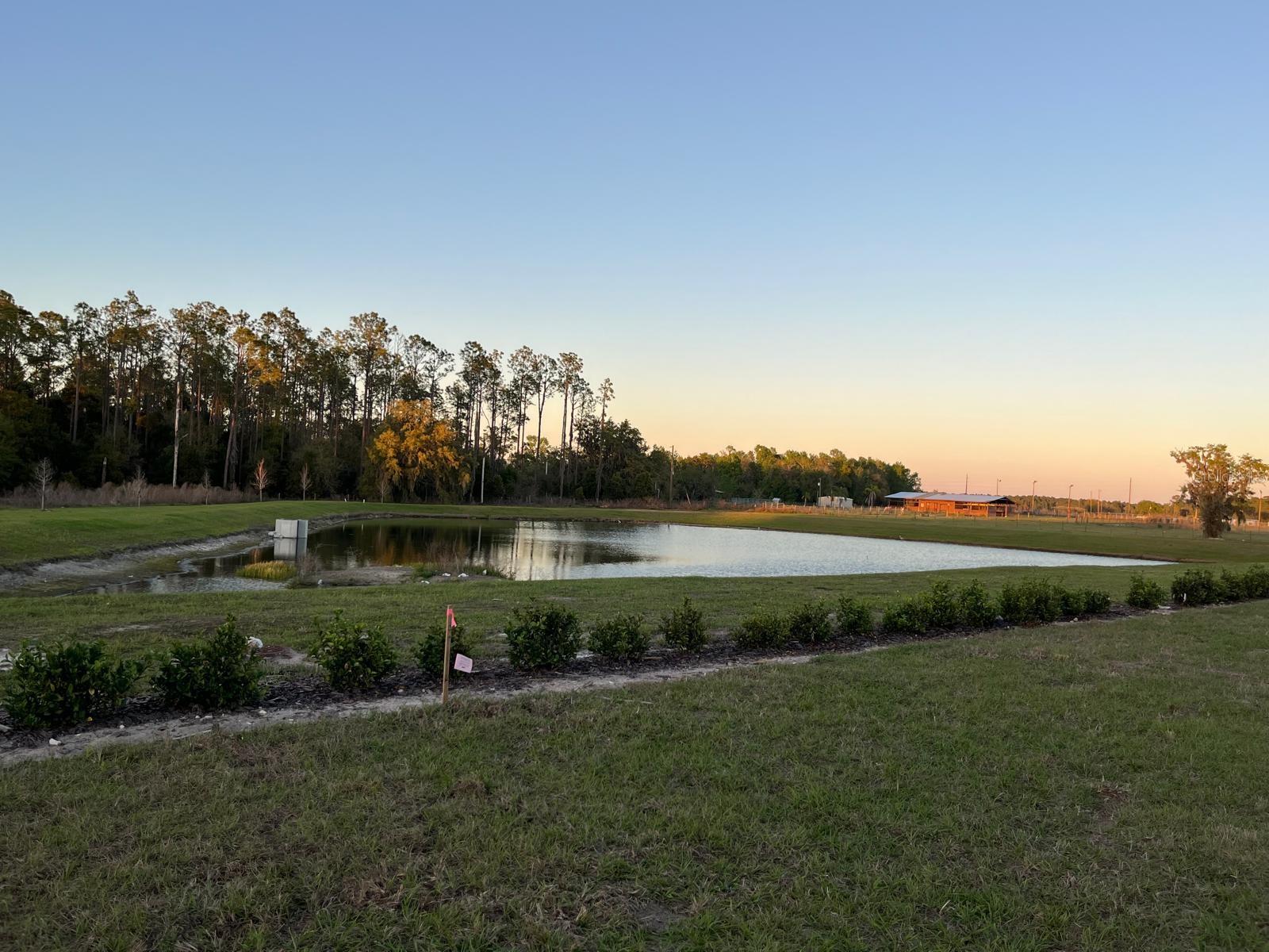 7691 PEACE LILY AVE, WESLEY CHAPEL, FL, 33545