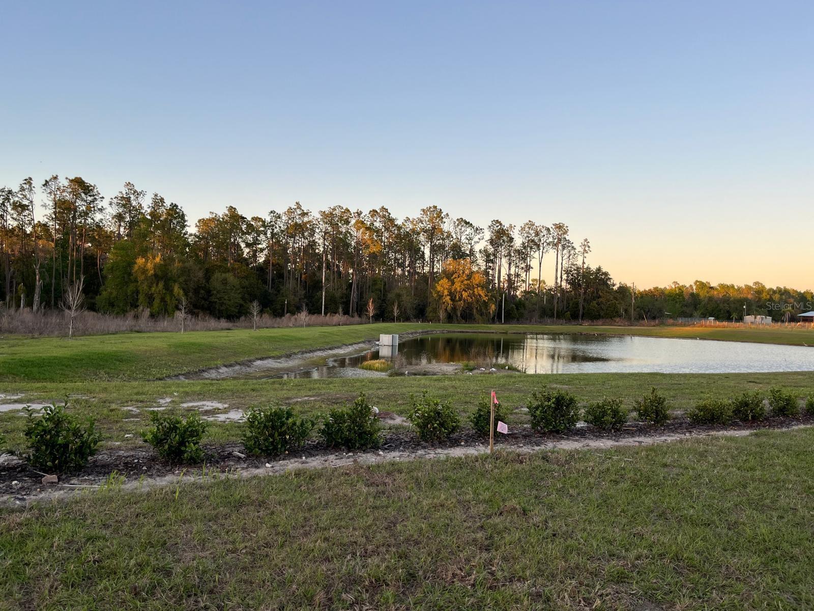 7691 PEACE LILY AVE, WESLEY CHAPEL, FL, 33545