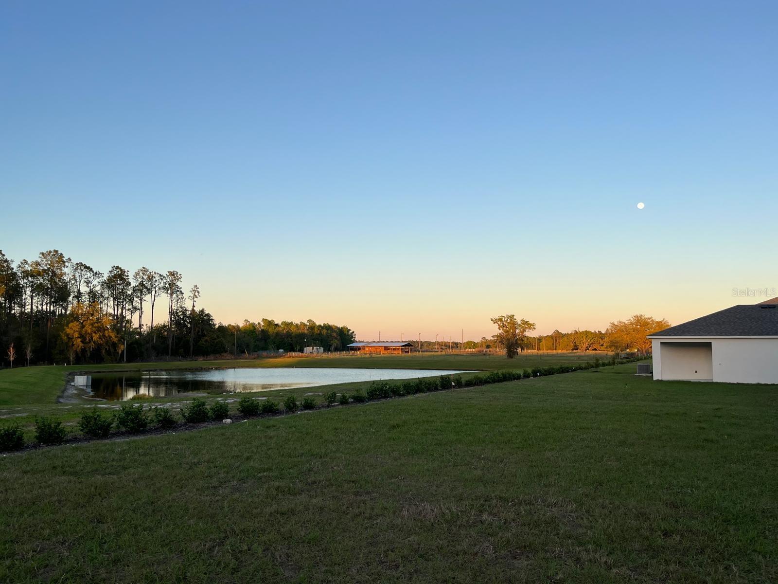 7691 PEACE LILY AVE, WESLEY CHAPEL, FL, 33545