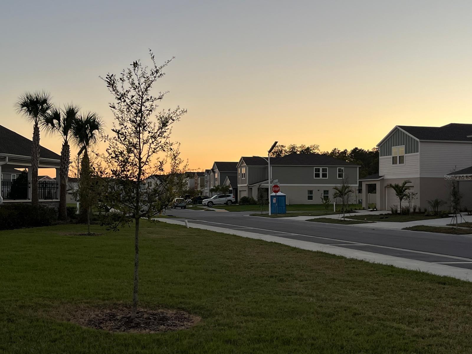 7691 PEACE LILY AVE, WESLEY CHAPEL, FL, 33545