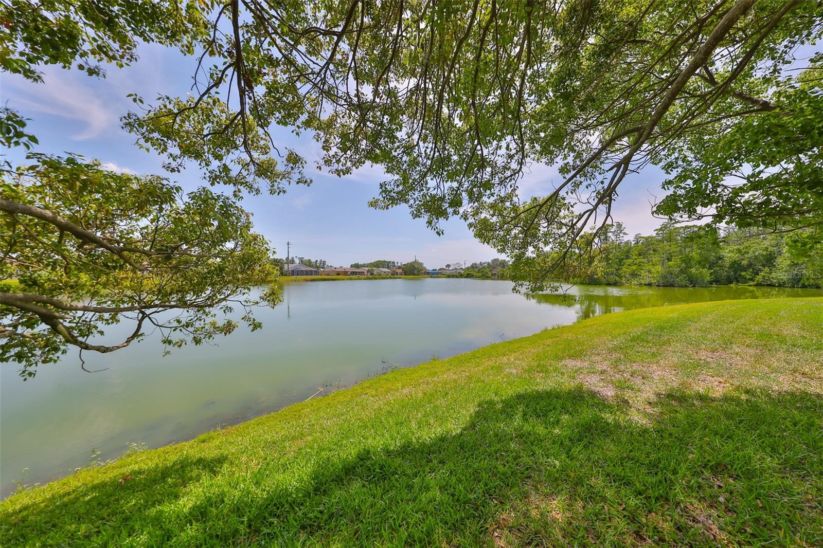 1617 COMFY CT, SUN CITY CENTER, FL, 33573