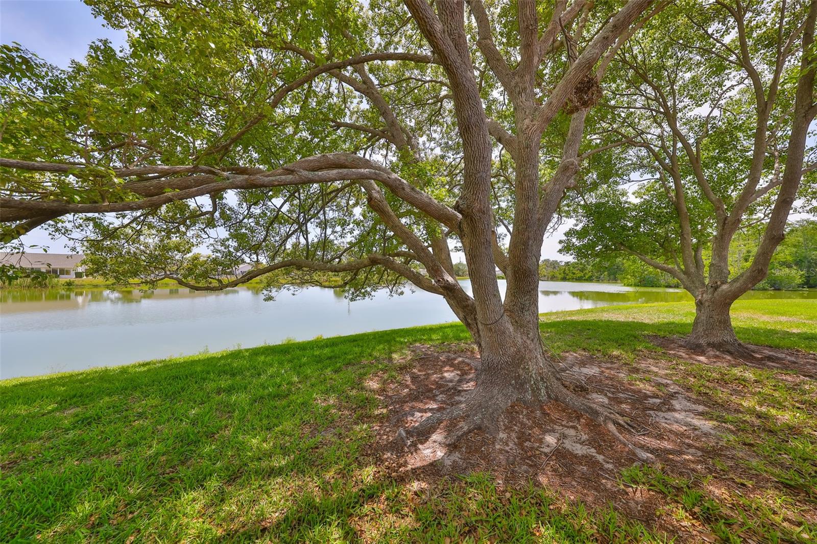 1617 COMFY CT, SUN CITY CENTER, FL, 33573