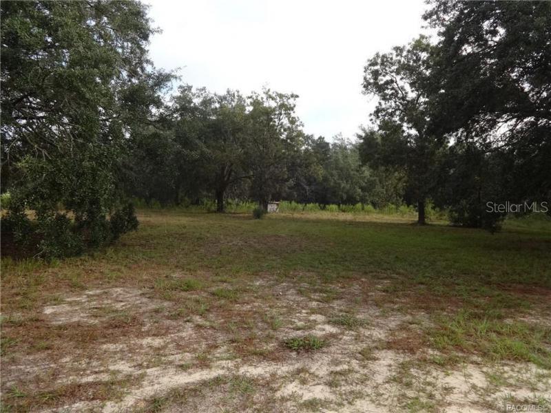 5795 S POWER TER, HOMOSASSA, FL, 34446