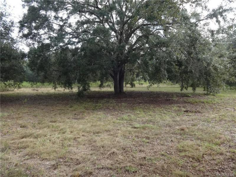 5795 S POWER TER, HOMOSASSA, FL, 34446