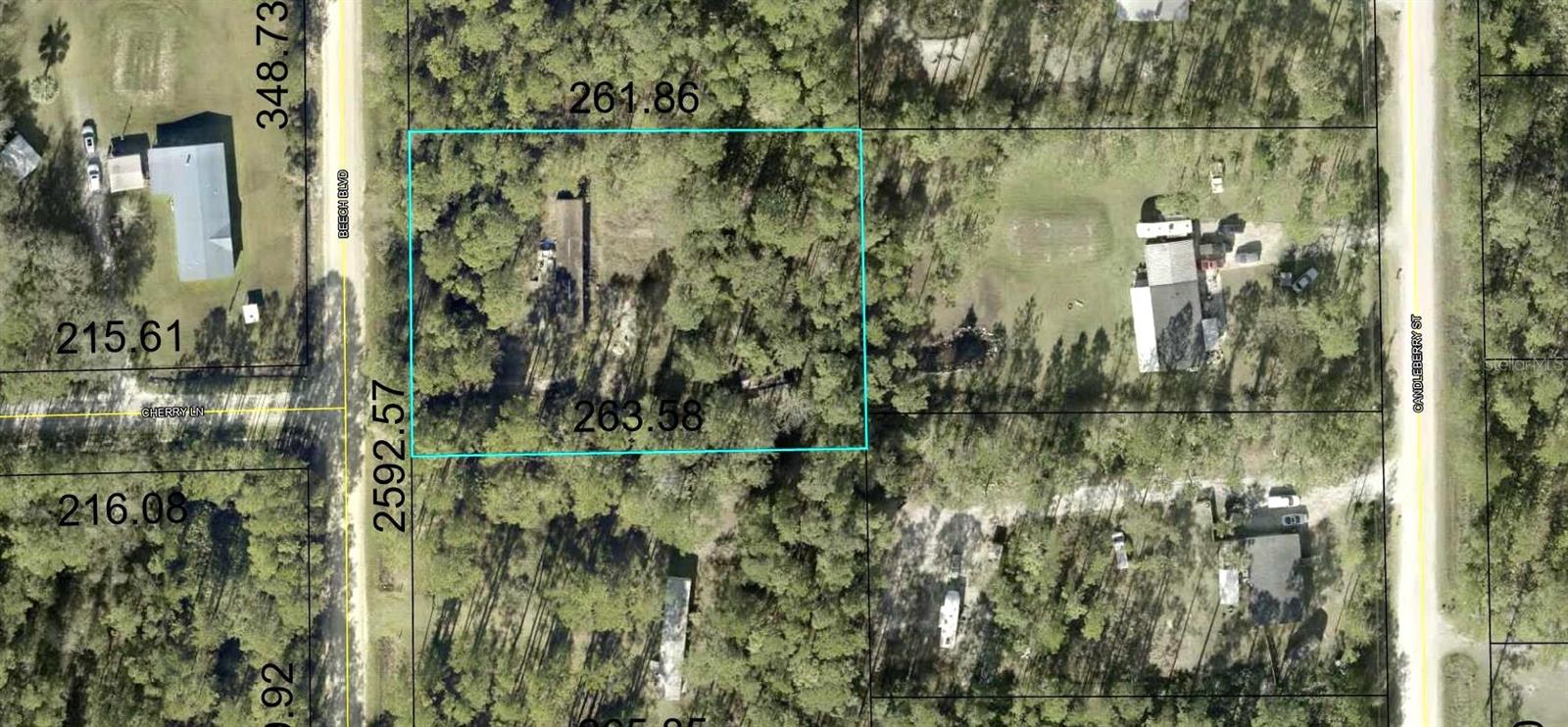 1215 BEECH BLVD, BUNNELL, FL, 32110