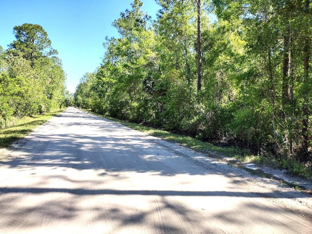 1215 BEECH BLVD, BUNNELL, FL, 32110