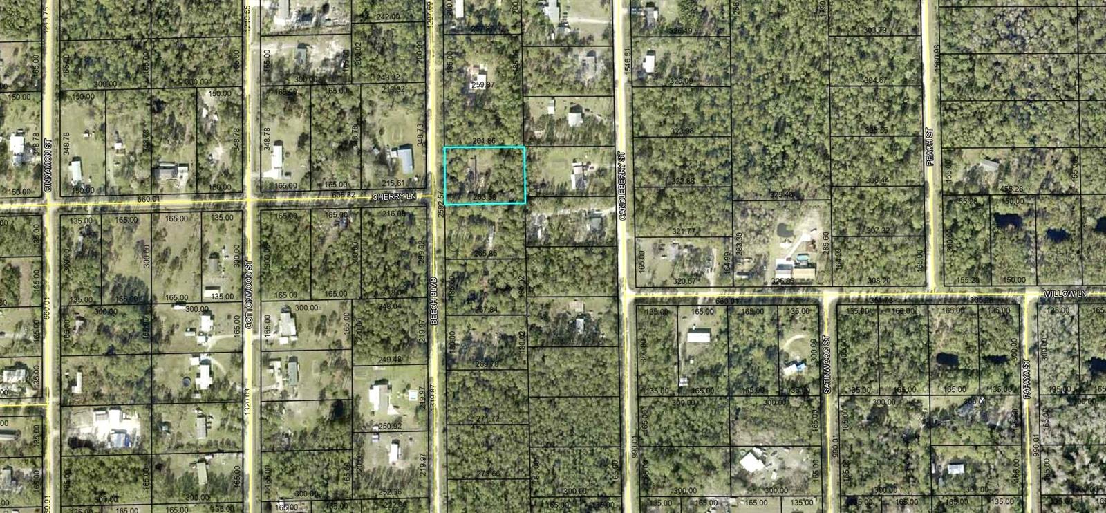 1215 BEECH BLVD, BUNNELL, FL, 32110