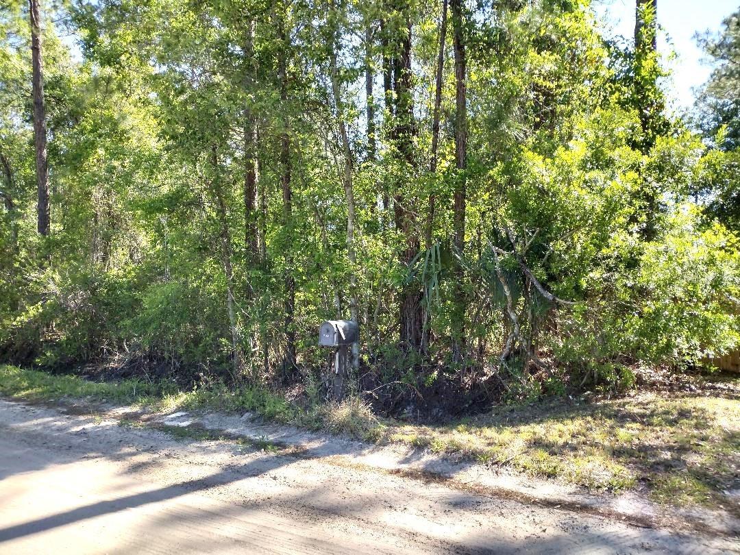 1215 BEECH BLVD, BUNNELL, FL, 32110