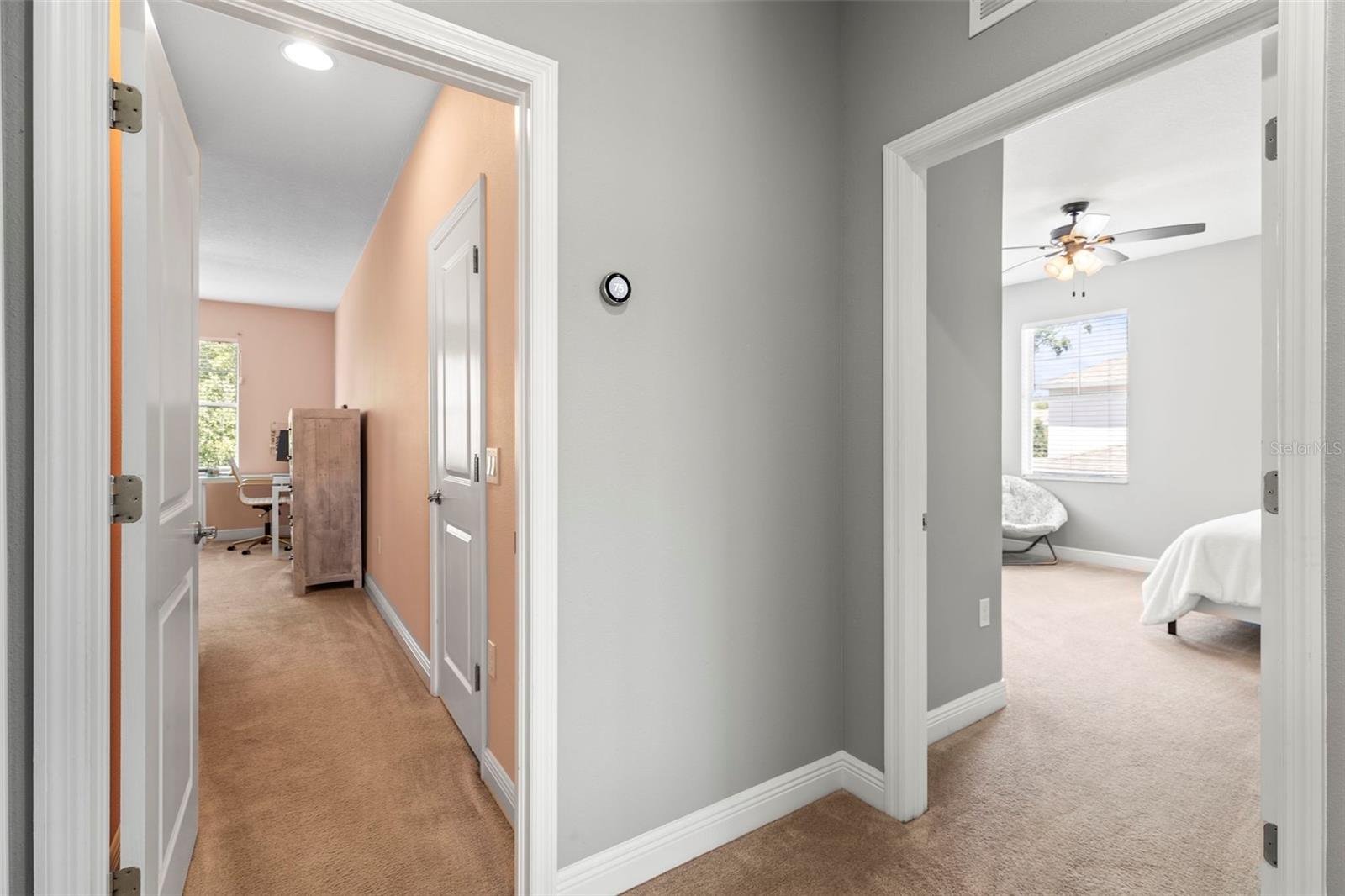 14616 ROCKY BROOK DR, TAMPA, FL, 33625