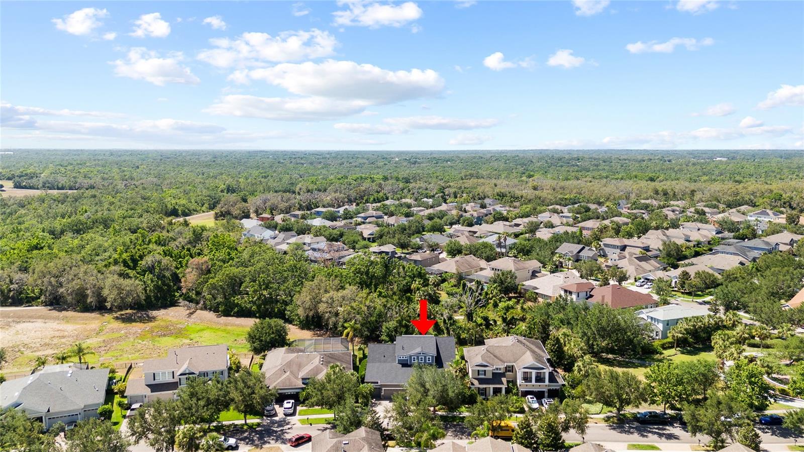 5313 SANDERLING RIDGE DR, LITHIA, FL, 33547