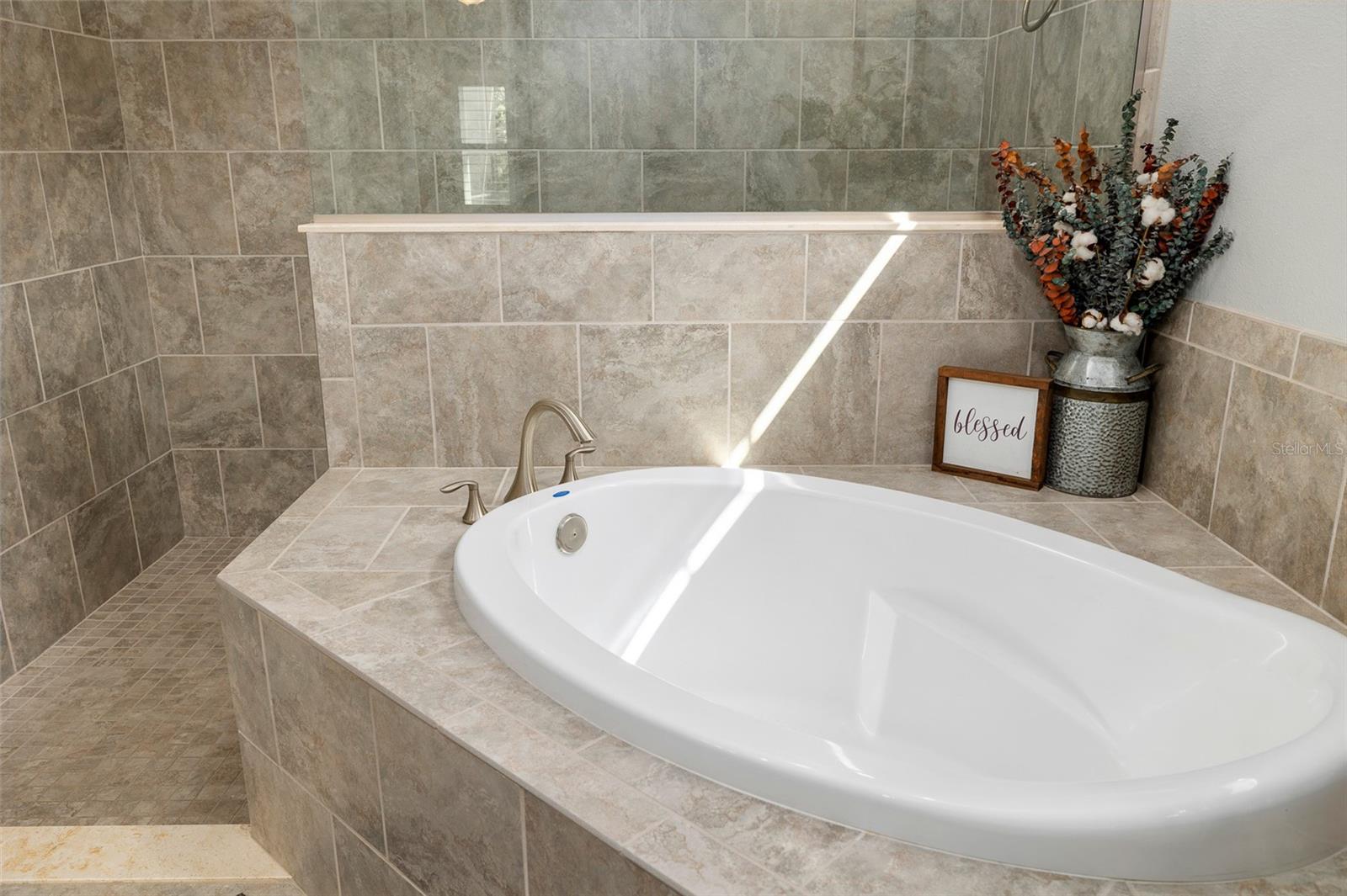 5313 SANDERLING RIDGE DR, LITHIA, FL, 33547