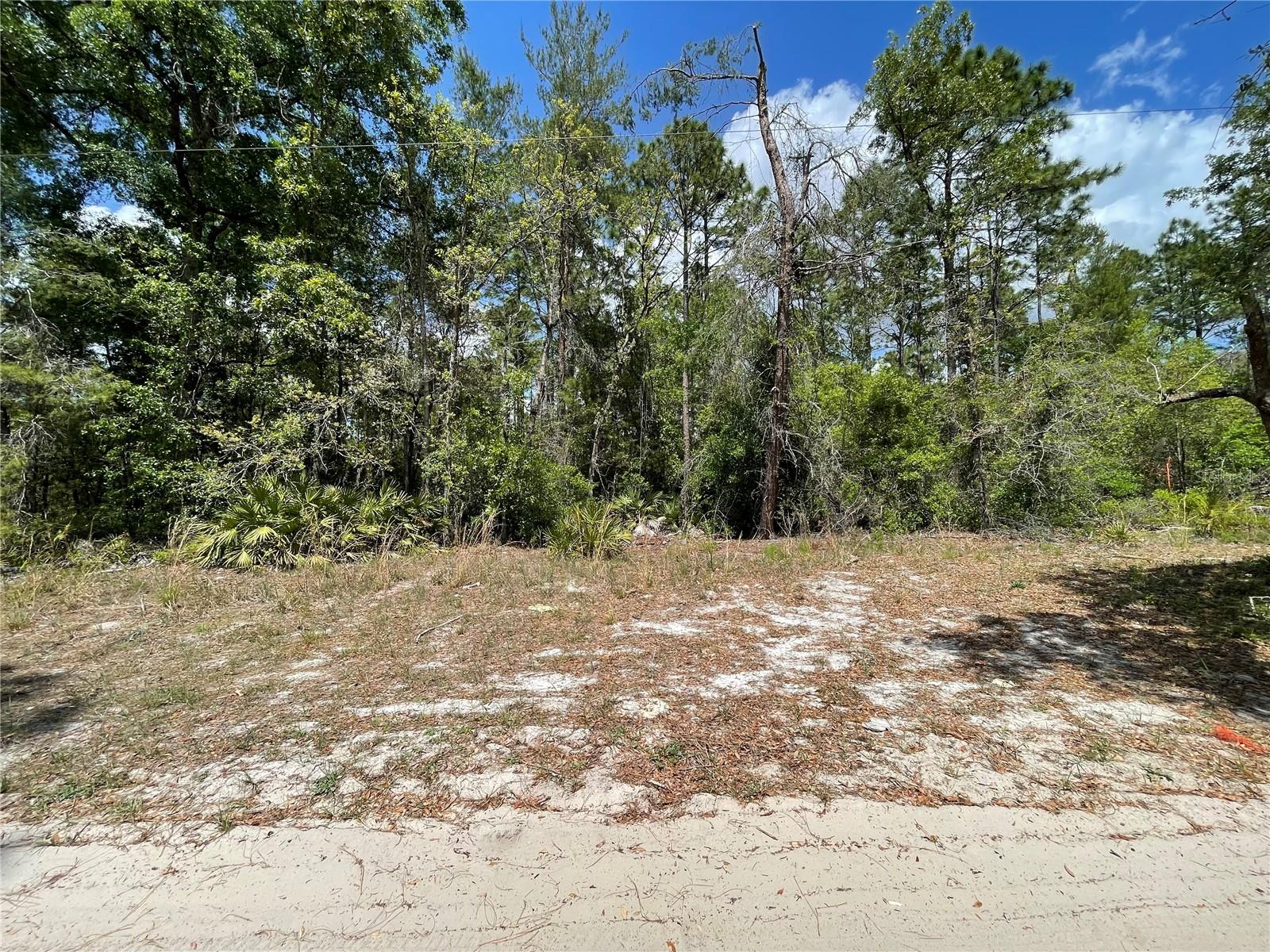 7215 SW 157 LN, DUNNELLON, FL, 34432