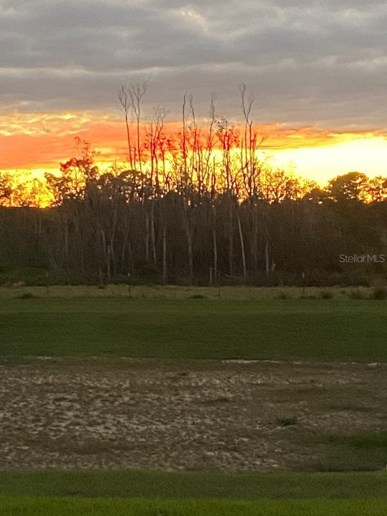 9296 BOLERO RD, WINTER GARDEN, FL, 34787