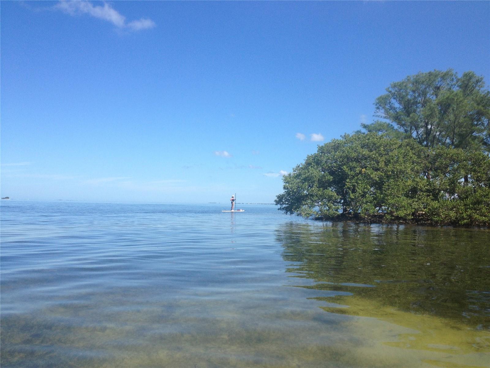 633 SOUNDVIEW DR, PALM HARBOR, FL, 34683