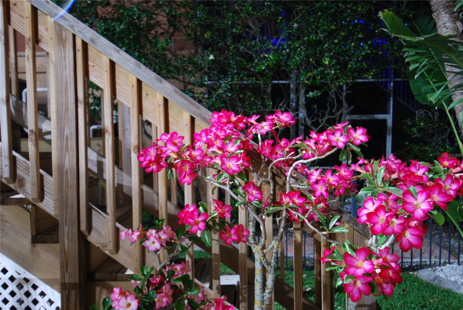 633 SOUNDVIEW DR, PALM HARBOR, FL, 34683