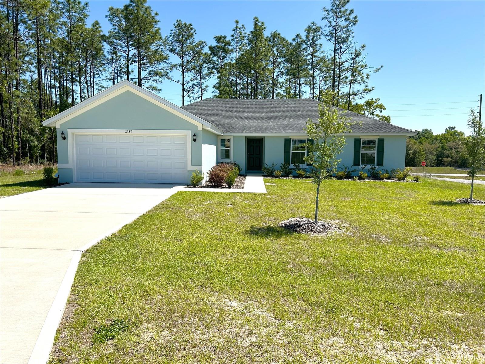 8389 N KEARNEY WAY, CITRUS SPRINGS, FL, 34434