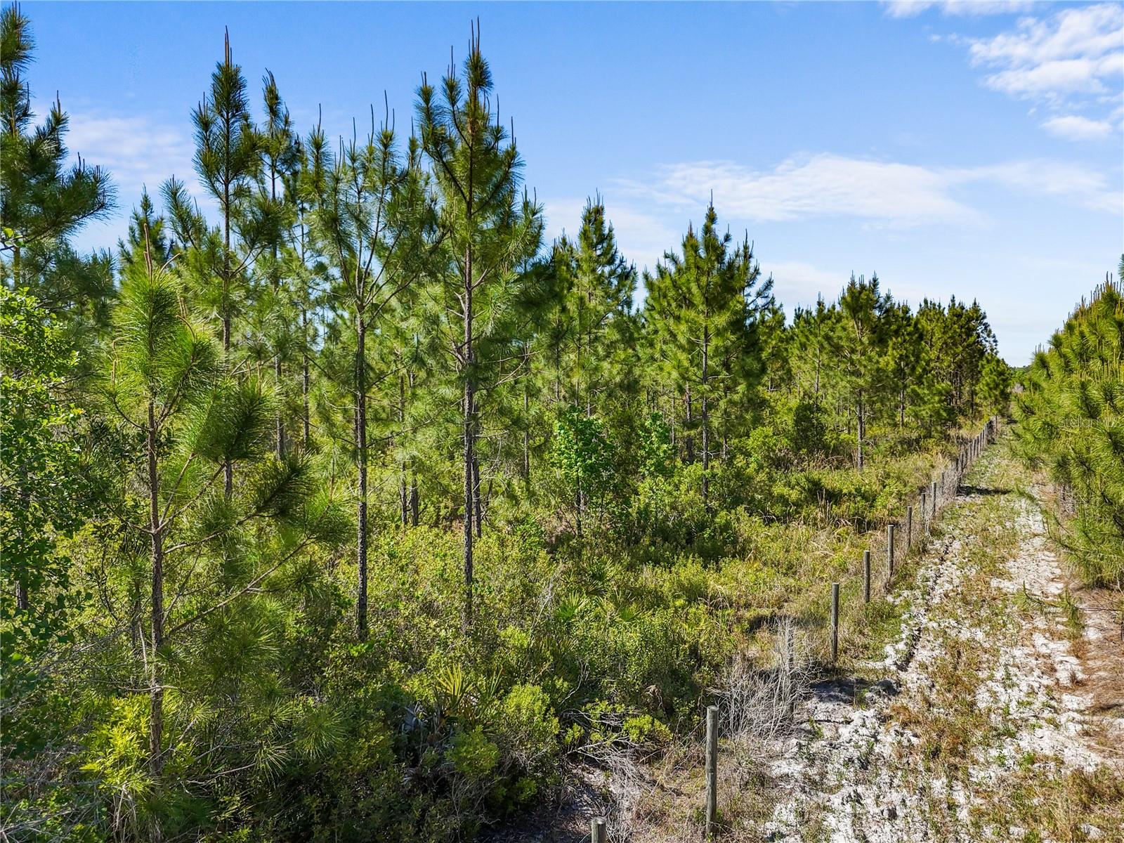 NA, GAINESVILLE, FL, 32609