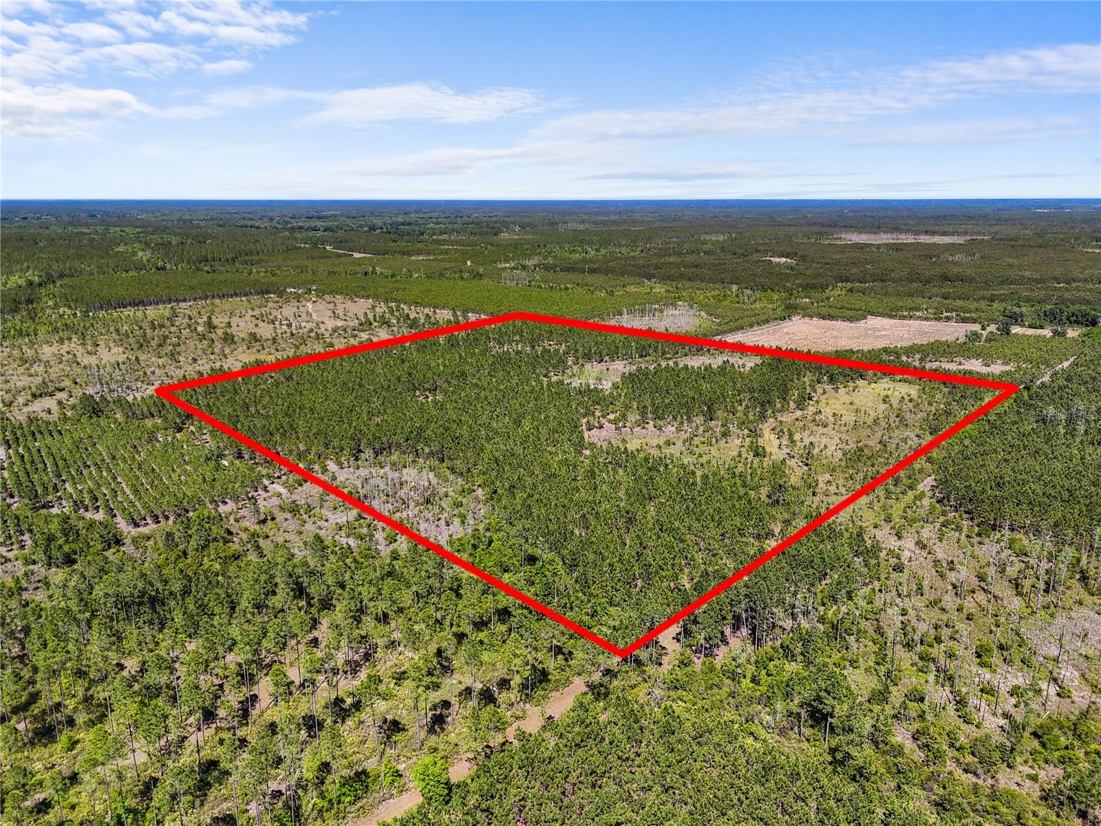 NA, GAINESVILLE, FL, 32609