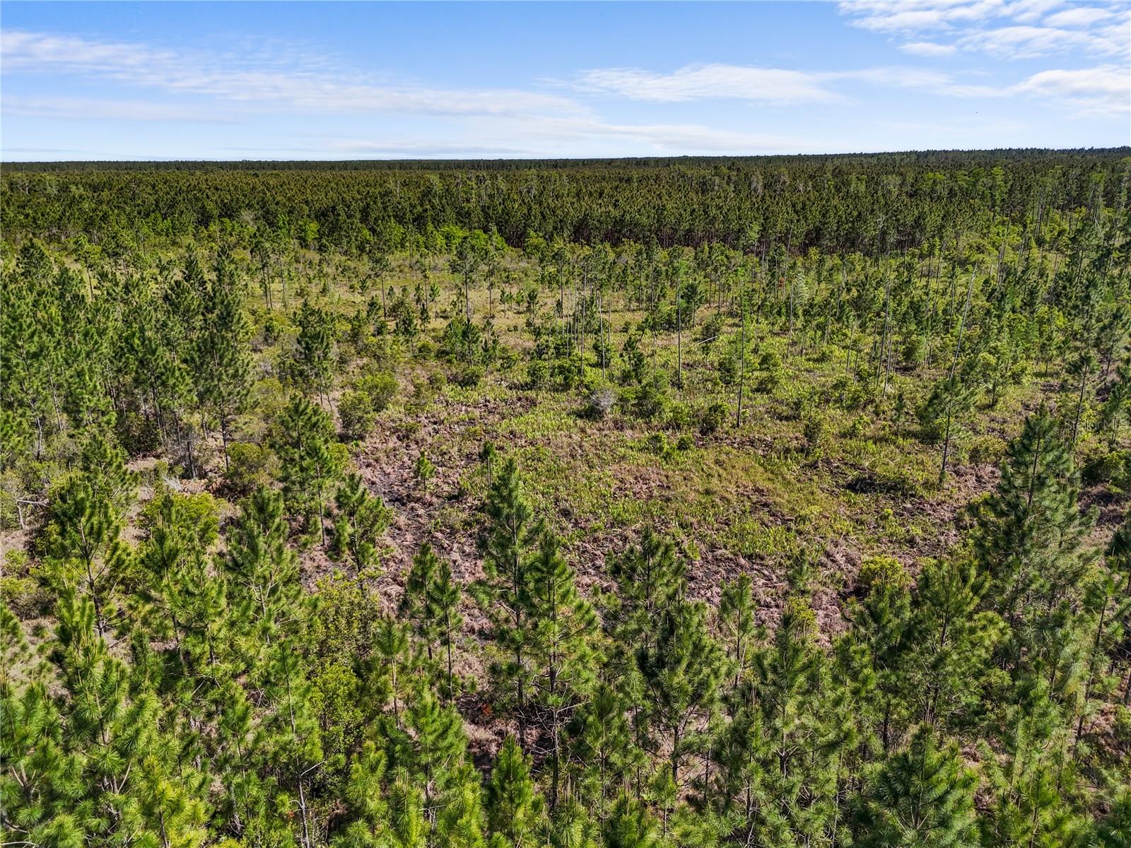 NA, GAINESVILLE, FL, 32609